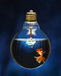 light-bulb-fish-bowl