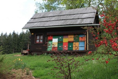 Čebelnjak v Črni na Koroškem