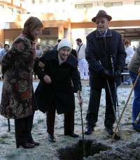 v centru starejših Zimzelen so posadili oreh