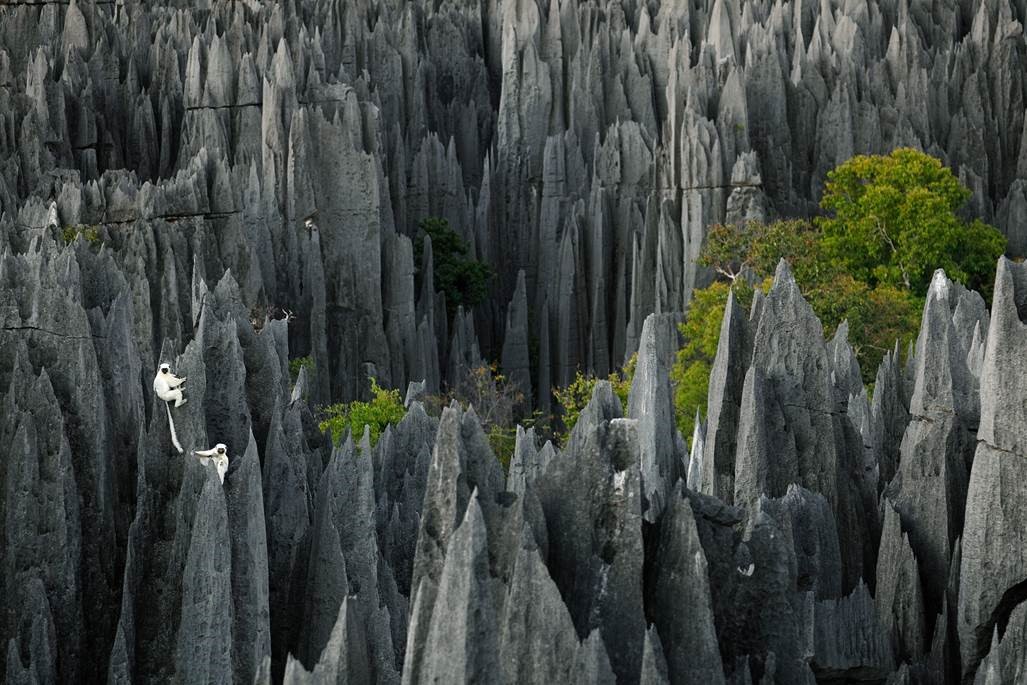 Foto: Stephen Alvarez, Madagaskar - LEMURJEVO RAZGLEDIŠČE 