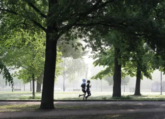 Praktični nasveti za tekače začetnike jogging, fitness, jogger