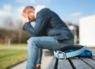 Zakaj izguba ljubljenčka tako boli Broken with grief man dog owner is grieving sitting on a bench with the lovely pet collar and deep weeping about animal loss. Home pets relatives and love concept.