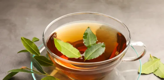 Cup of freshly brewed tea with bay leaves on grey table, closeup