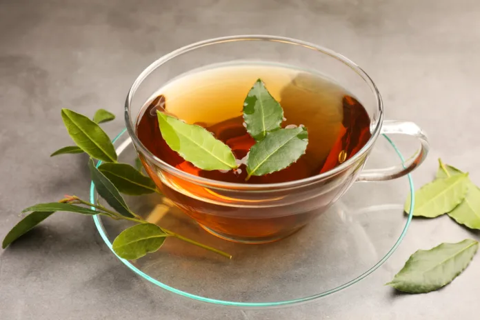 Cup of freshly brewed tea with bay leaves on grey table, closeup