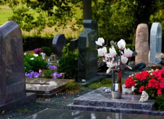 Alternativa klasični sveči: Kaj nesti na grob ob dnevu spomina na mrtve? grob