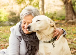 To so glavne prednosti, ki jih prinašajo ljubljenčki Senior woman in the park on an autumns day