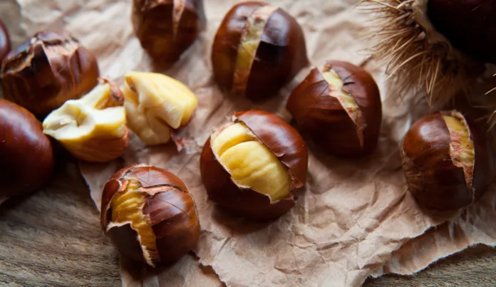 Traditional Christmas dish  - Ripe Sweet Roasted Chestnuts, cracked shells after put to the fire, natural paper and old wooden rustic background.