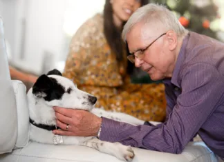 Ognjemeti in petarde: kako (po)miriti ljubljenčka, ki se boji pokanja Family meeting to celebrate Christmas.