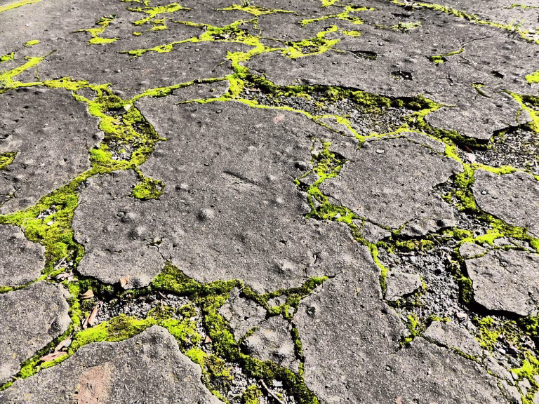 concrete, moss, street, crack, green, dark, nature, city, light, concrete, moss, moss, moss, moss, moss, street