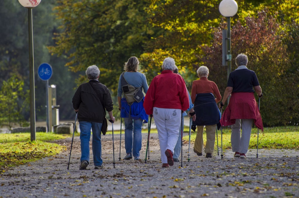 nordic walking, stroller, walk, together, people, leisure time, nordic walking, nordic walking, nordic walking, nordic walking, nordic walking, stroller