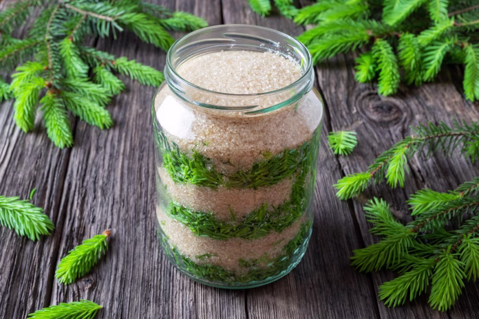 a-jar-filled-with-young-spruce-tips-and-cane-sugar-to-prepare-homemade-syrup-against-cough-stockpack-istock A jar filled with young spruce tips and cane sugar, to prepare homemade syrup against cough