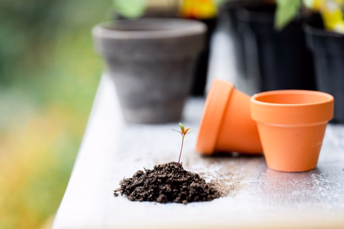 plants, soil, pots, tools, gardening, table, garden, garden work, nature, bloom, casting