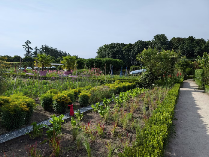 a-garden-filled-with-lots-of-different-types-of-plants-stockpack-unsplash zelenjavni vrtg