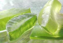 Neverjetna moč rastline Aloe vera aloe, aloe vera, aloe vera leaf, cut aloe leaf, aloe vera, aloe vera, aloe vera, aloe vera, aloe vera