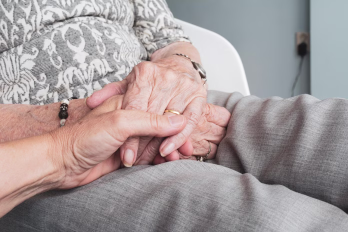 hands, old, old age, senior citizens, vulnerable, concern, old person, elderly, retirement, self-reliance, loneliness, woman, grandmother, seniors, happy mothers day, lived, help out, support, together, friendship, mom, mum