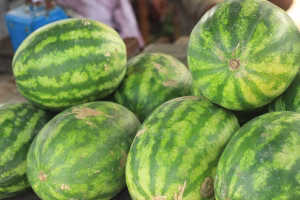 water melons, fruit, fresh, watermelons