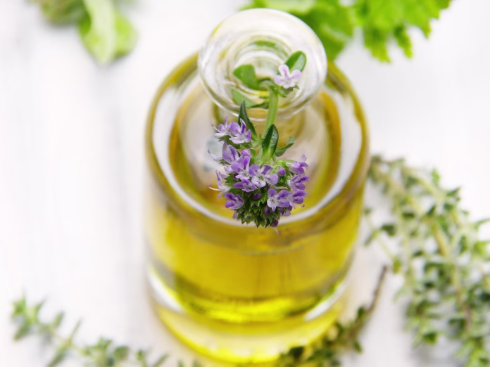 oil, bottle, thyme, blossom, bloom, glass, close up, cosmetics, aroma, fragrance, herbs, wellness, aromatherapy, beauty, personal hygiene, relaxation, massage, treatment, spa, maintenance, body, flacon, perfume, skin, thyme, thyme, thyme, thyme, aromatherapy, aromatherapy, spa, perfume, perfume, perfume, perfume, perfume