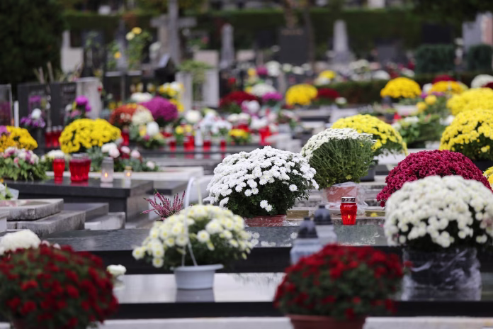 flower arrangements, all souls day, graves, decoration, evening, religion, catholicism, christianity, graveyard, cemetery