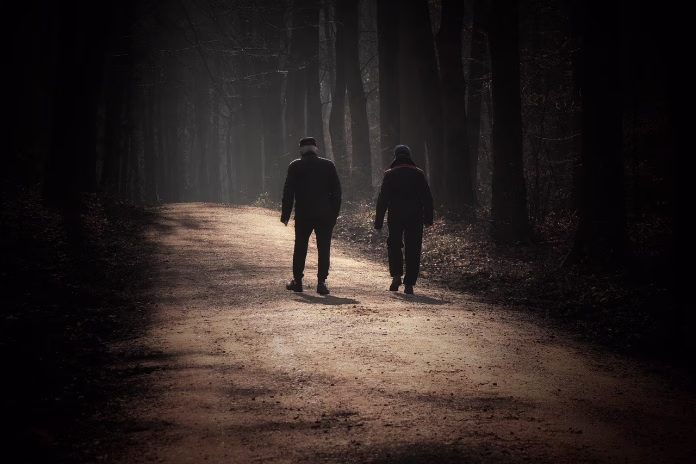 walk-forest-morning-sun-the-shade-seniors-landscape-stockpack-pixabay walk, nature, forest, morning sun, the shade, seniors, landscape