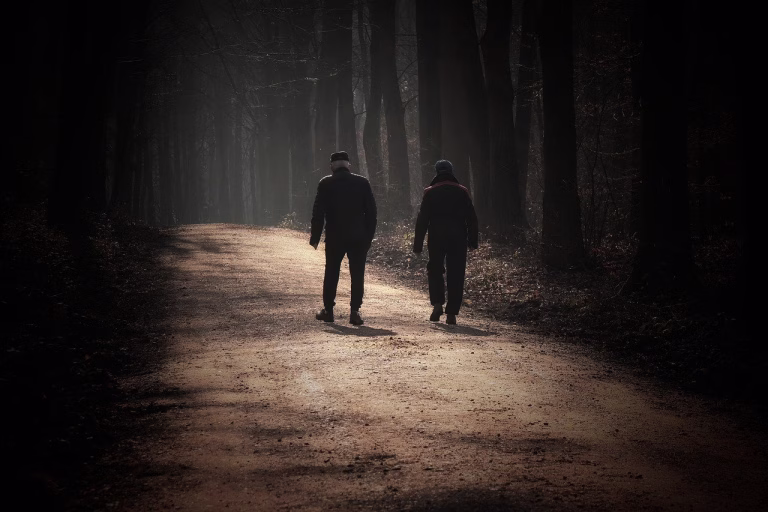 walk, nature, forest, morning sun, the shade, seniors, landscape