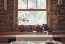 Tako v novem letu najlažje naredite prostor za nove stvari garlic, cactus, window, green, house, cooking, farm, farmhouse, country, lifestyle, table, nutrition, wooden, plant, design, happy, garden, dinner, agriculture, meal, kitchen, natural, vegetable, home, organic, fresh, healthy, vegetarian, diet, salad, cook, tomato, food, nature, window, window, house, kitchen, kitchen, kitchen, kitchen, kitchen, home