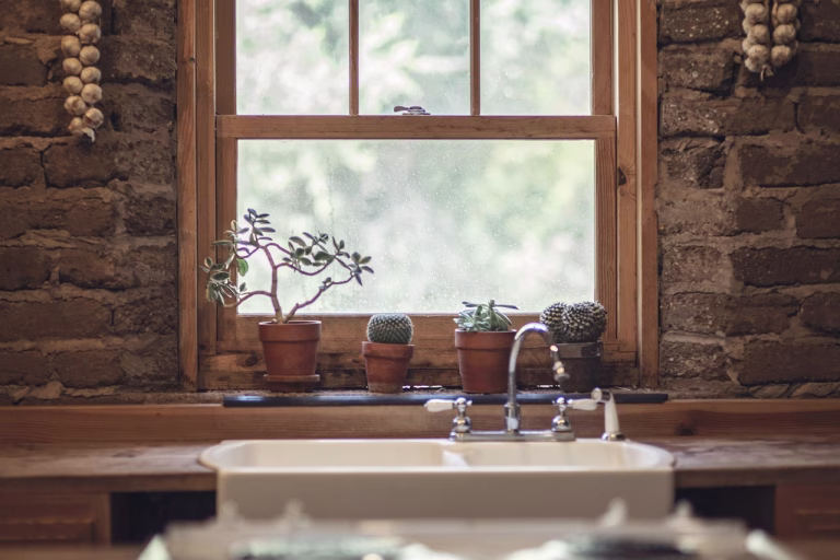 garlic, cactus, window, green, house, cooking, farm, farmhouse, country, lifestyle, table, nutrition, wooden, plant, design, happy, garden, dinner, agriculture, meal, kitchen, natural, vegetable, home, organic, fresh, healthy, vegetarian, diet, salad, cook, tomato, food, nature, window, window, house, kitchen, kitchen, kitchen, kitchen, kitchen, home