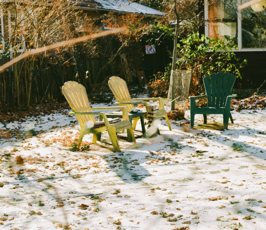 Kaj na vrtu postoriti zdaj, ko so temperature še pod lediščem? zima vrt
