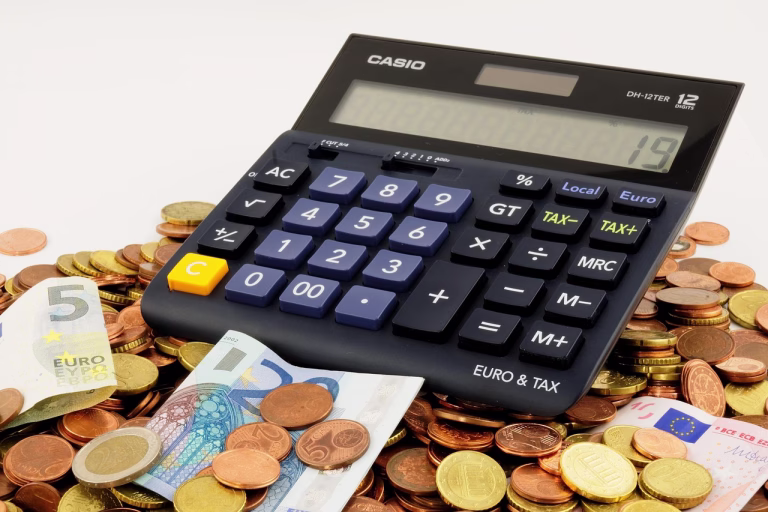 euro, seem, money, finance, piggy bank, save up, cent, coins, computer, taxes, calculator, euro, money, money, money, money, money, finance, calculator
