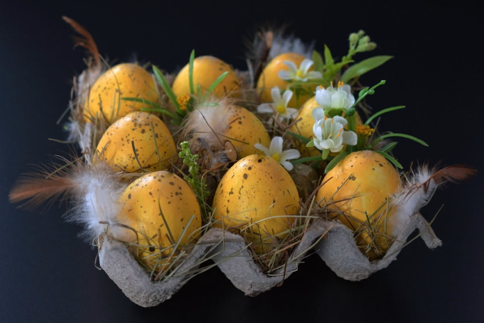 easter eggs, easter nest, easter, eggs, easter festival, spring, decoration, easter decoration, happy easter, yellow, colorful eggs, coloured, nature, easter decorations, egg box, painted, feathers, need, paint, easter egg, egg, easter greetings, easter celebration