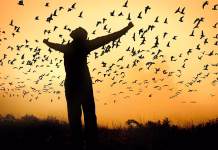 Življenje brez dokazovanja heart, self-love, self confidence, personality, self-consciousness, self-esteem, self-liberation, self-reflection, security, sovereignty, self-assurance, assertion, self, self-control, self-restraint, self-confessions, think, psychology, behave, ego, feel, self confidence, self confidence, self confidence, self confidence, self confidence, self-esteem