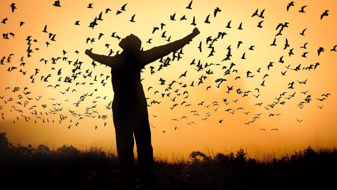 heart, self-love, self confidence, personality, self-consciousness, self-esteem, self-liberation, self-reflection, security, sovereignty, self-assurance, assertion, self, self-control, self-restraint, self-confessions, think, psychology, behave, ego, feel, self confidence, self confidence, self confidence, self confidence, self confidence, self-esteem