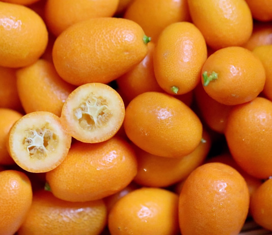 Kumkvat: majhen agrum, velik doprinos zdravju kumkvat