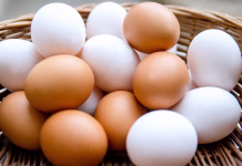 Kako preprosto pobeliti običajna jajca, da se barve bolje primejo Yellow and white chicken egg close up