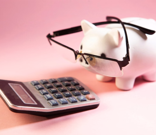 Zakaj višina pokojnine ni enaka višini prihodkov pred upokojitvijo? Piggy bank with eyeglasses and calculator on pink background