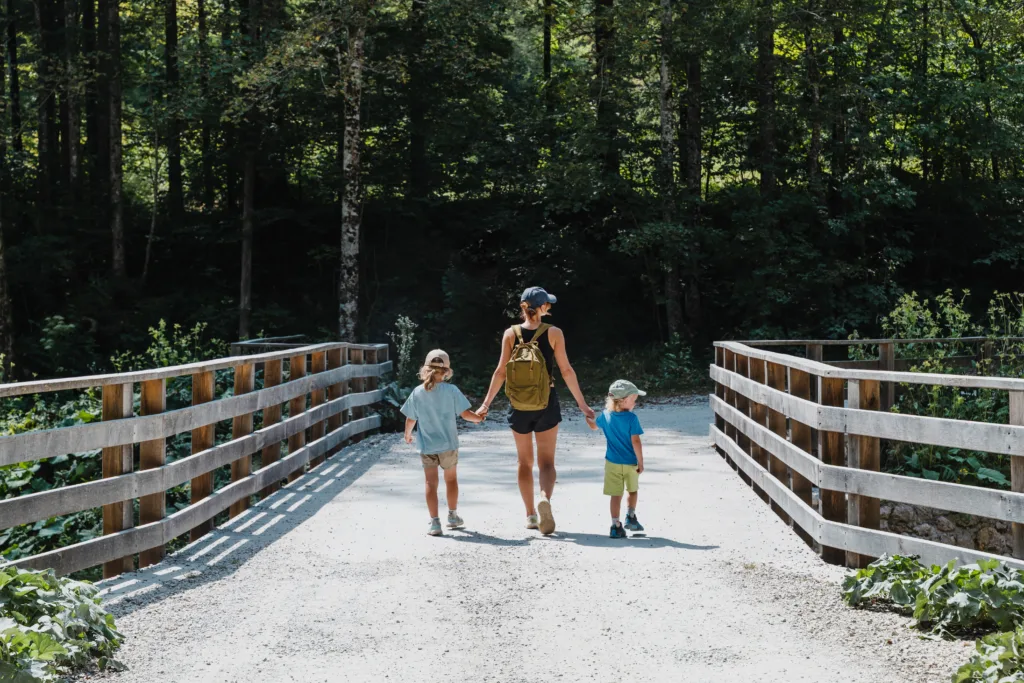 Active family holding hands walking on a forest bridge during a sunny summer nature adventure.