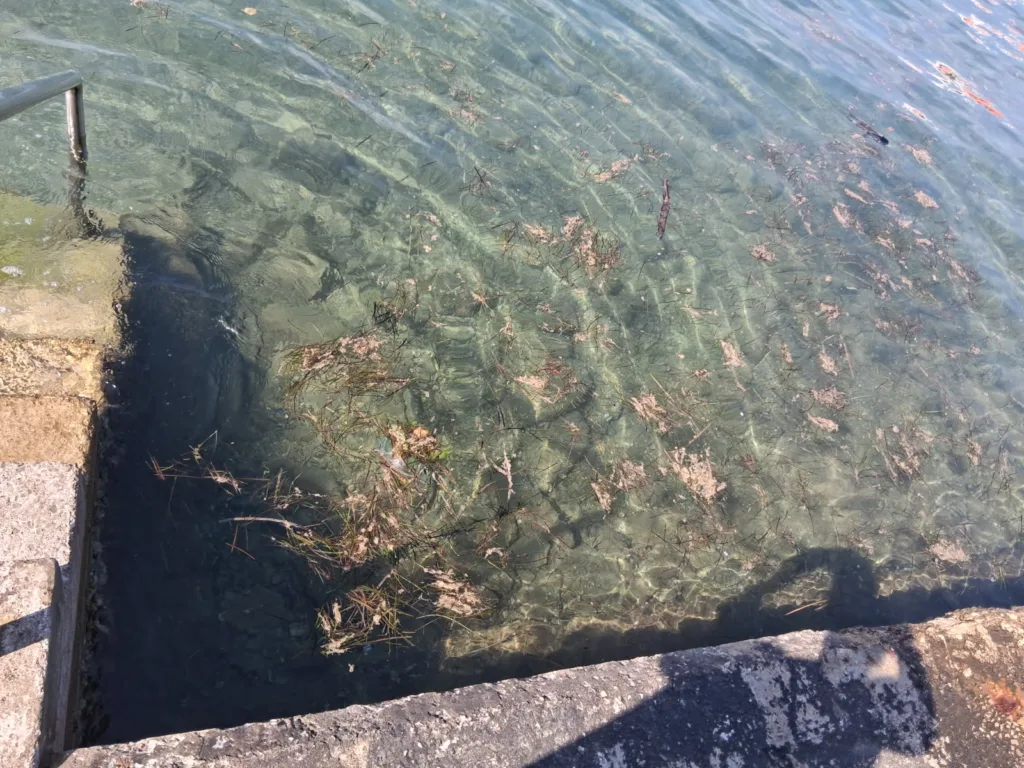 Območje pod Turistiko. Vir ARSO
