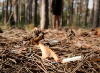 Pozor, v vsej Sloveniji velja stroga prepoved: ena napaka lahko drago stane vas – in vse ostale Burning bonfire in a forest may cause forest fire.