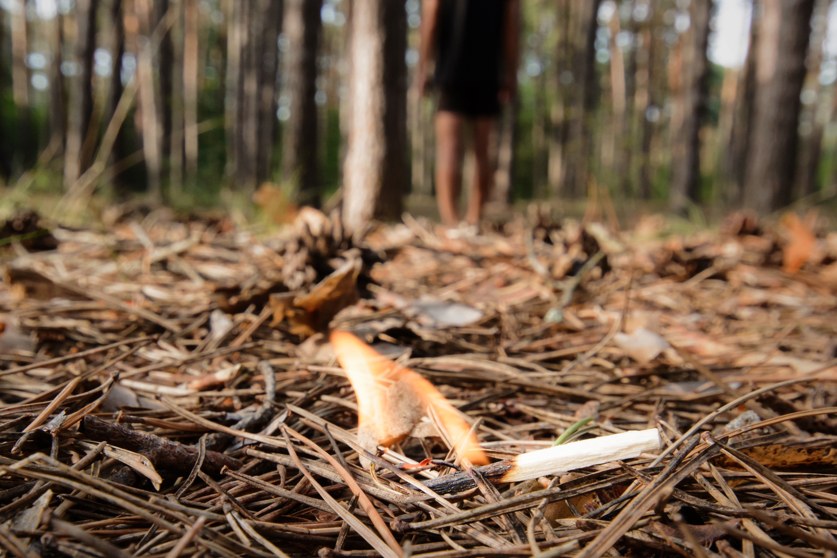 Pozor, v vsej Sloveniji velja stroga prepoved: ena napaka lahko drago stane vas – in vse ostale Burning bonfire in a forest may cause forest fire.