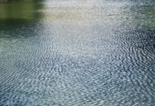 Pozor pri kopanju na teh lokacijah: zaradi vročine več alg, ki povzročajo reakcije na koži Close-up view of a calm water surface covered with delicate ripples, creating a natural abstract pattern. Soft reflections and subtle blue-green tones add texture and tranquility, making the image suitable for backgrounds, environmental themes, nature concepts, relaxation, and water-related projects.