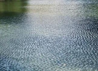 Pozor pri kopanju na teh lokacijah: zaradi vročine več alg, ki povzročajo reakcije na koži Close-up view of a calm water surface covered with delicate ripples, creating a natural abstract pattern. Soft reflections and subtle blue-green tones add texture and tranquility, making the image suitable for backgrounds, environmental themes, nature concepts, relaxation, and water-related projects.