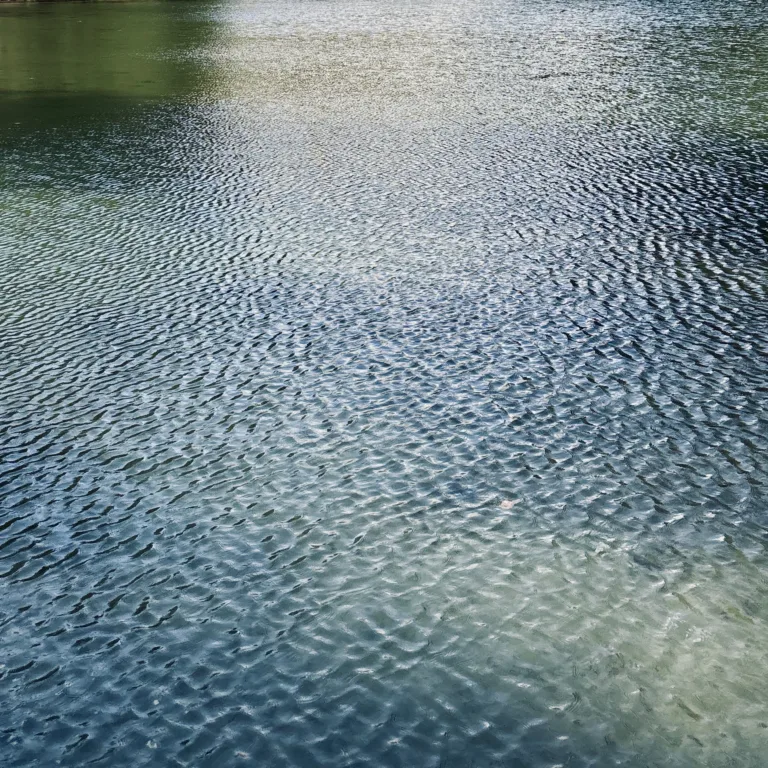 Close-up view of a calm water surface covered with delicate ripples, creating a natural abstract pattern. Soft reflections and subtle blue-green tones add texture and tranquility, making the image suitable for backgrounds, environmental themes, nature concepts, relaxation, and water-related projects.