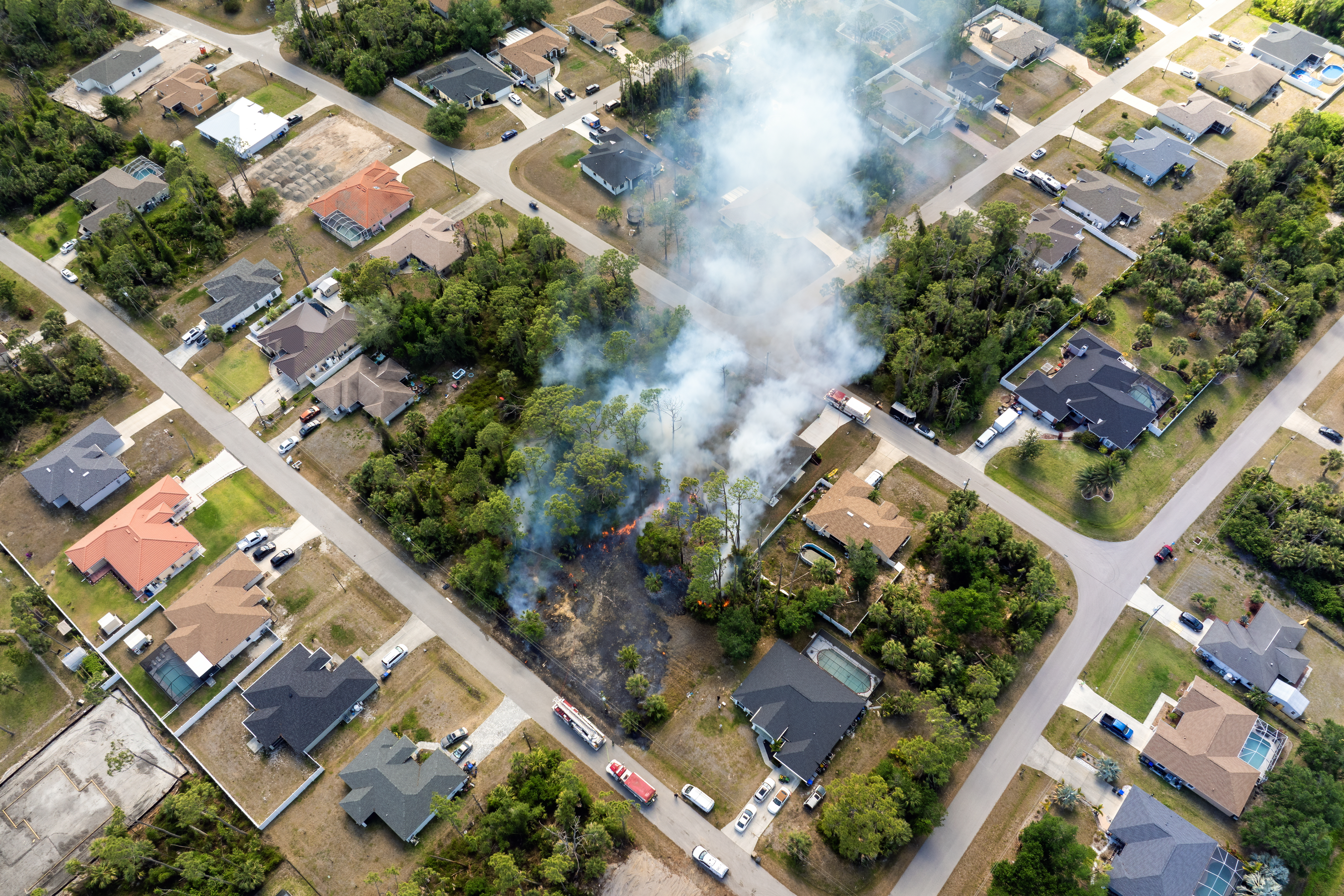 Wildfire engulfs Florida wooded area near residential zone with fire trucks on site and crews working to stop the spread. Vegetation fire in dry season.
