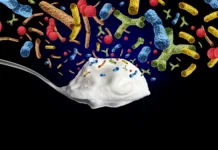 Probiotiki, prebiotiki ali postbiotiki? Yogurt Probiotic Bacteria containing live cultures of Lactobacillus and Bifidobacterium supporting digestive health gut microbiome balance and overall wellness.