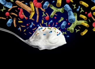 Probiotiki, prebiotiki ali postbiotiki? Yogurt Probiotic Bacteria containing live cultures of Lactobacillus and Bifidobacterium supporting digestive health gut microbiome balance and overall wellness.