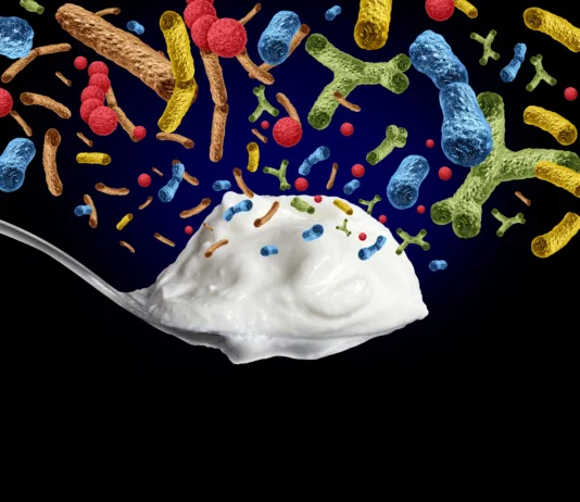 Probiotiki, prebiotiki ali postbiotiki? Yogurt Probiotic Bacteria containing live cultures of Lactobacillus and Bifidobacterium supporting digestive health gut microbiome balance and overall wellness.