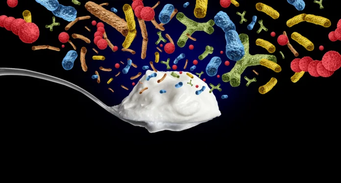 yogurt-probiotic-bacteria-containing-live-cultures-of-lactobacillus-and-bifidobacterium-supporting-digestive-health-gut-microbiome-balance-and-overall-wellness-stockpack-istock Yogurt Probiotic Bacteria containing live cultures of Lactobacillus and Bifidobacterium supporting digestive health gut microbiome balance and overall wellness.