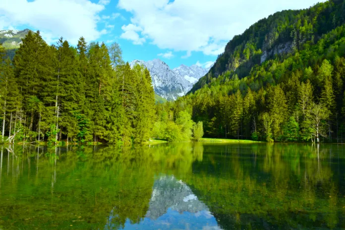 planaarsko-jezero-lake-at-zgornje-jezersko-in-gorenjska-slovenia-stockpack-istock Planšarsko jezero lake at Zgornje Jezersko in Gorenjska, Slovenia