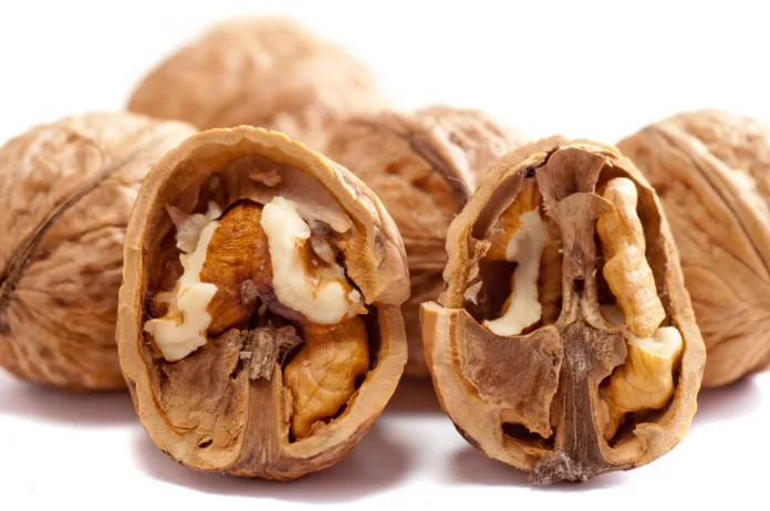 1643606-walnuts-2312506_1920 wallnuts orehi